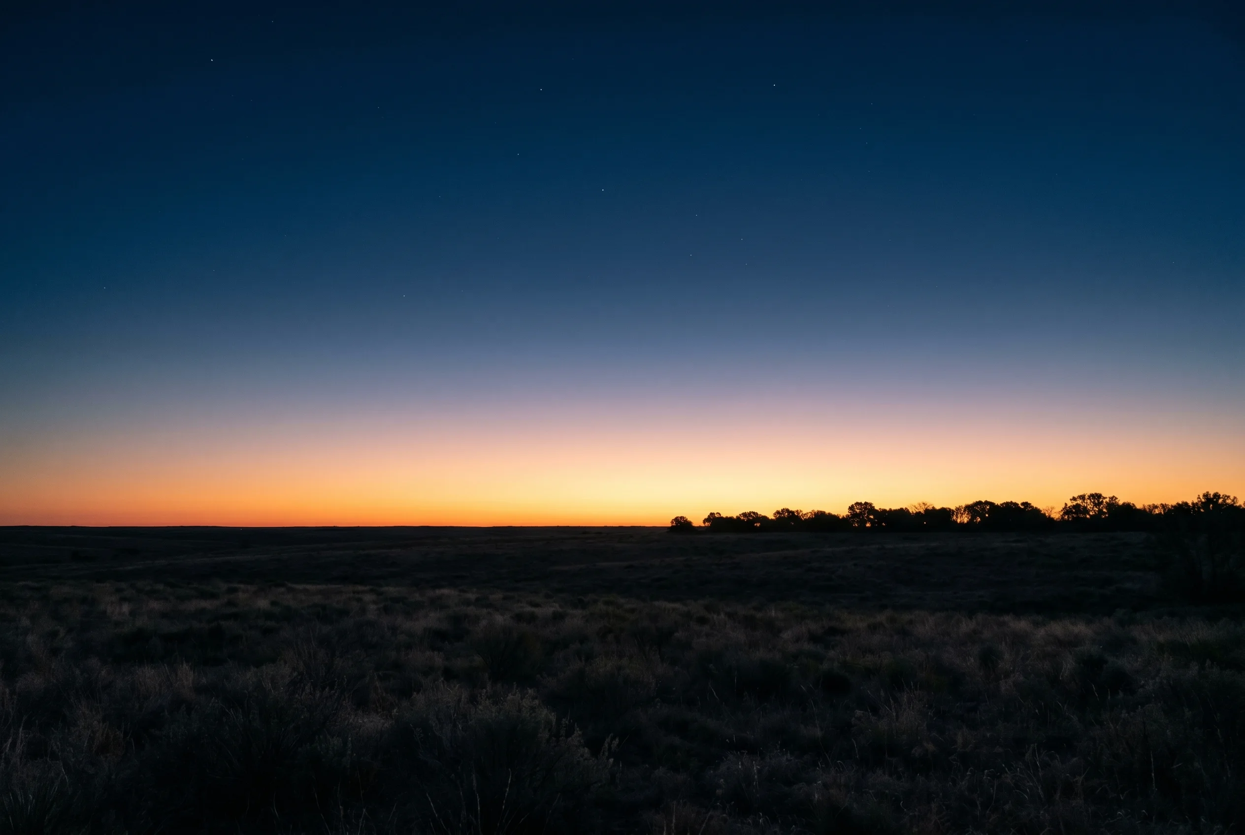 Abstract Texas landscape at dawn with warm amber horizon meeting deep navy sky — representing the immigration journey of Austin residents